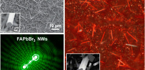 Nanowire Lasers of Formamidinium Lead Halide Perovskites and Their Stabilized Alloys with Improved Stability